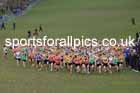 Boys Under-15s, 2024 CAU Inter Counties Cross Country Champs., Wollaton Park, Nottingham. Photo: David T. Hewitson/Sports for All Pics